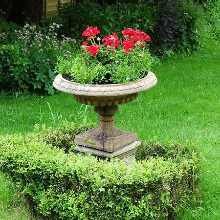 Three Ivy Cross Bed and Breakfast Shaftesbury Εξωτερικό φωτογραφία