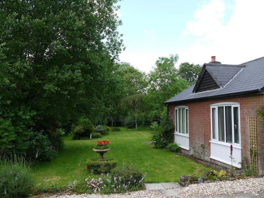 Three Ivy Cross Bed and Breakfast Shaftesbury Δωμάτιο φωτογραφία